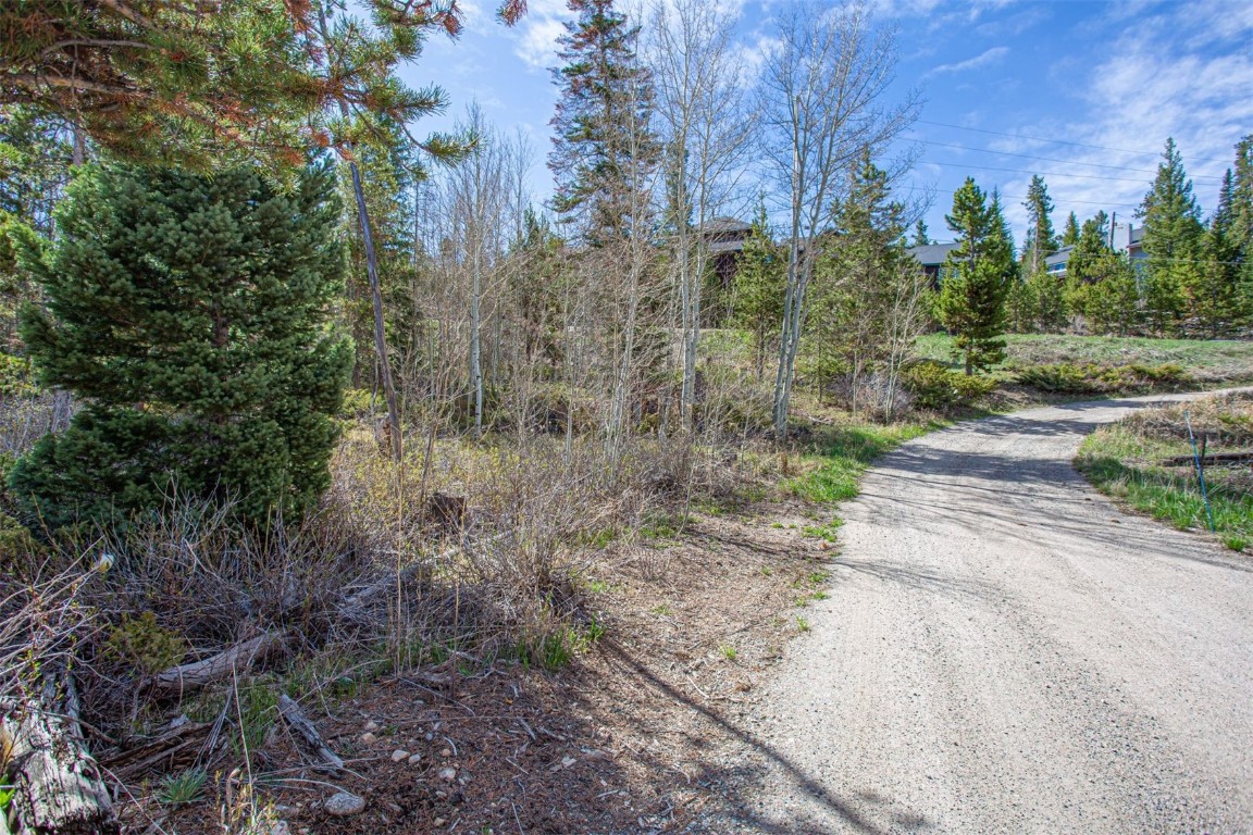 577 Deer Path Road Dillon, CO 80435 - Photo 21 of 27 a view of a pathway both side of yard