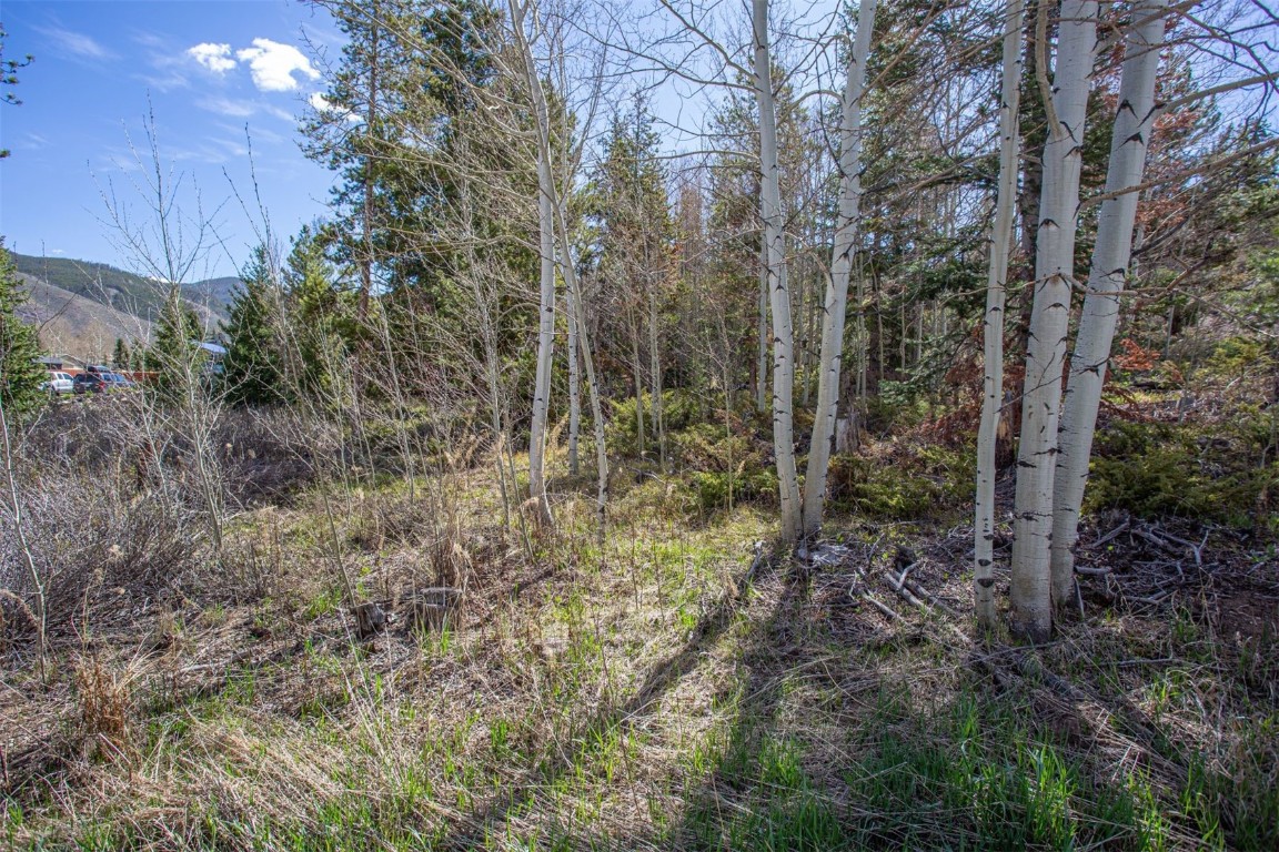 577 Deer Path Road Dillon, CO 80435 - Photo 22 of 27 a view of a forest with trees