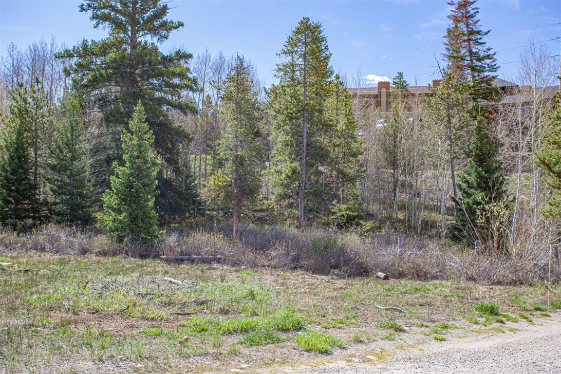 577 Deer Path Road Dillon, CO 80435 - Photo 3 of 27 a view of a yard with a fountain