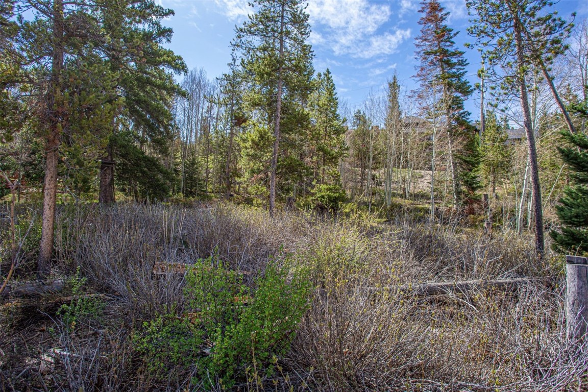 577 Deer Path Road Dillon, CO 80435 - Photo 4 of 27 a view of a garden with large trees