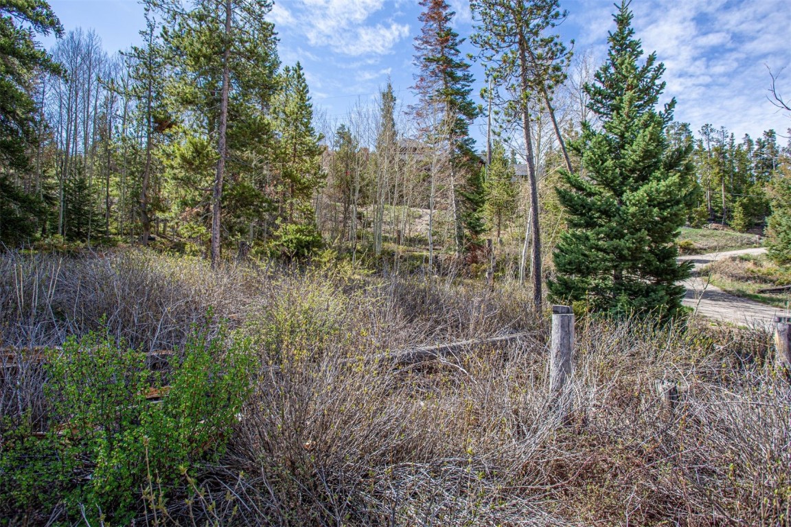 577 Deer Path Road Dillon, CO 80435 - Photo 5 of 27 a view of a forest with trees in front of it