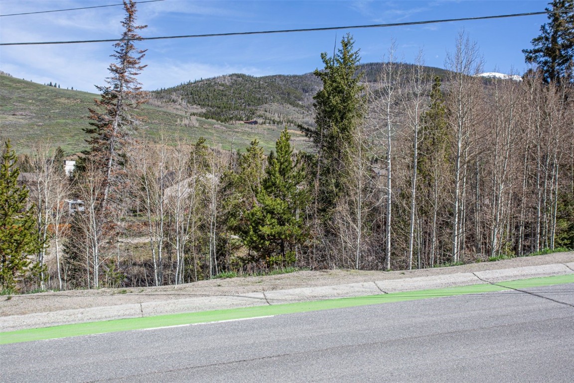 577 Deer Path Road Dillon, CO 80435 - Photo 6 of 27 a view of a yard with a house