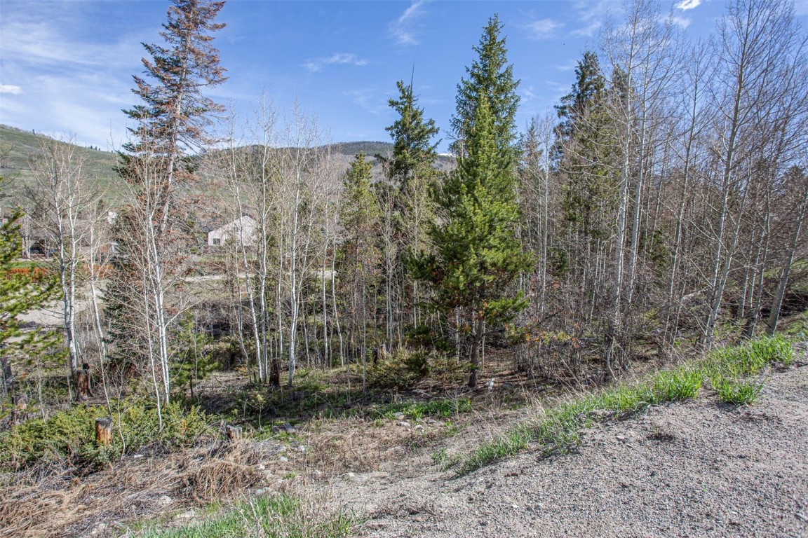 577 Deer Path Road Dillon, CO 80435 - Photo 7 of 27 a view of a forest with a trees