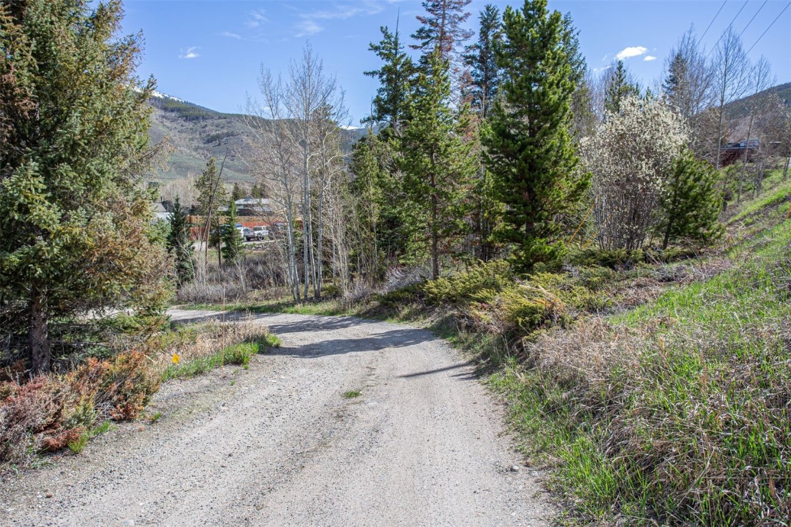577 Deer Path Road Dillon, CO 80435 - Photo 8 of 27 a view of a dry yard with wooden fence