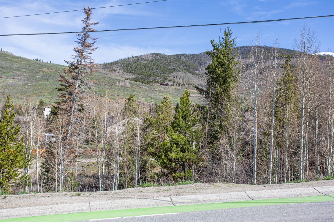 577 Deer Path Road Dillon, CO 80435 - Photo 9 of 27 a view of a yard in front of a building