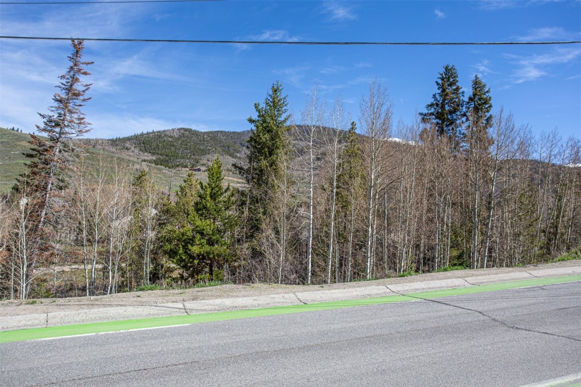 577 Deer Path Road Dillon, CO 80435 - Photo 10 of 27 a view of a yard