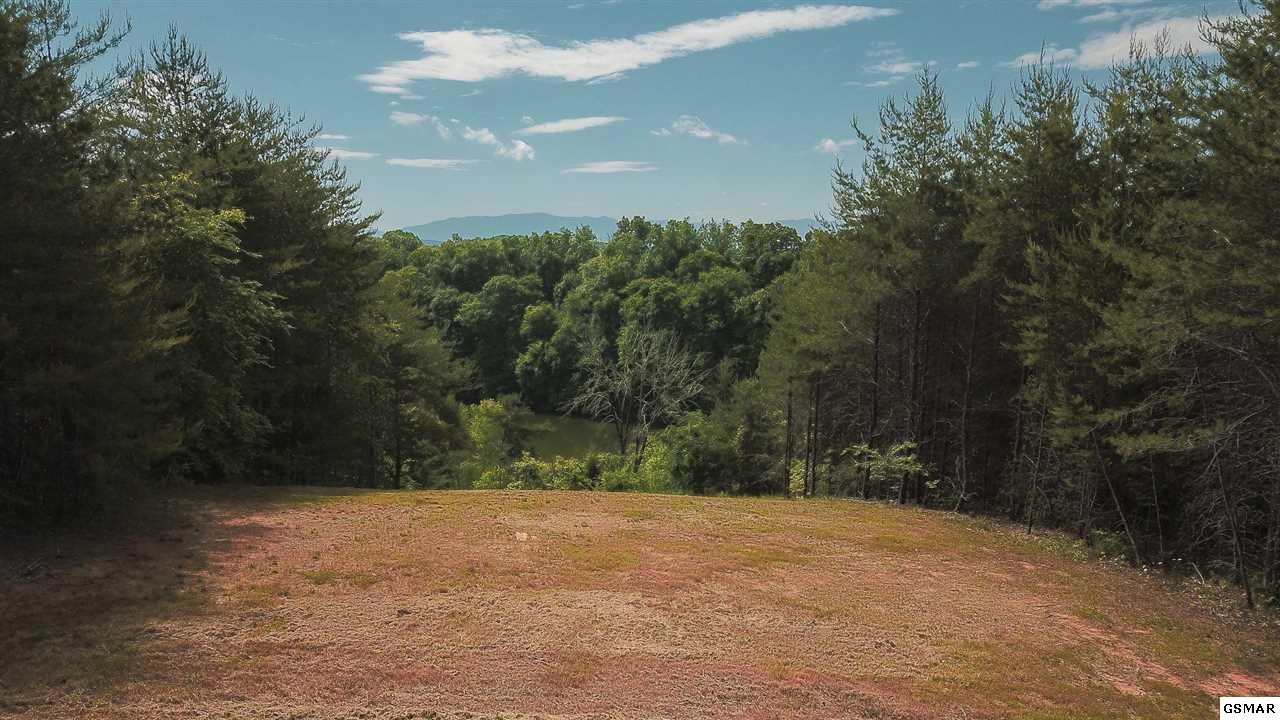 81 Sunset Vw Road Sevierville, TN 37876 - Photo 1 of 5 a view of outdoor space and yard