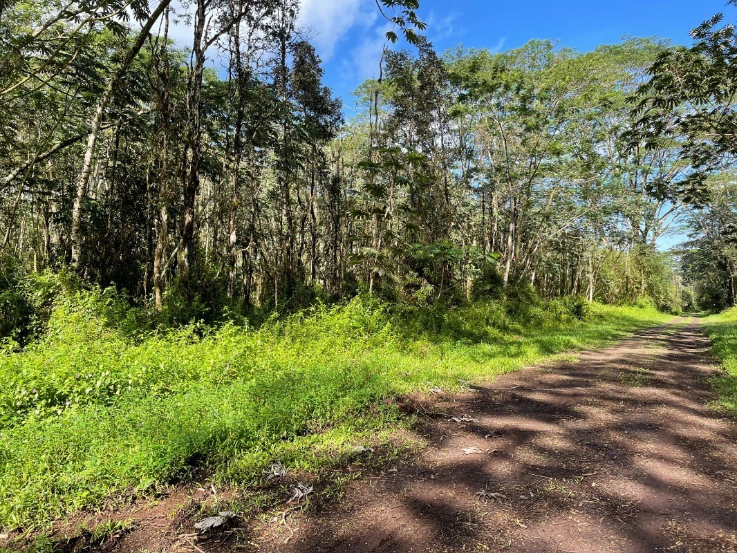 14-3350 Alii Road Pahoa, HI 96778 - Photo 1 of 6 Gallery Image 1