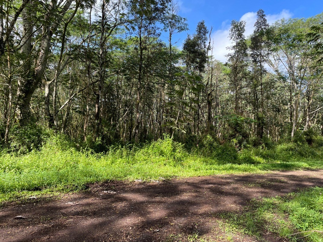 14-3350 Alii Road Pahoa, HI 96778 - Photo 4 of 6 Gallery Image 4