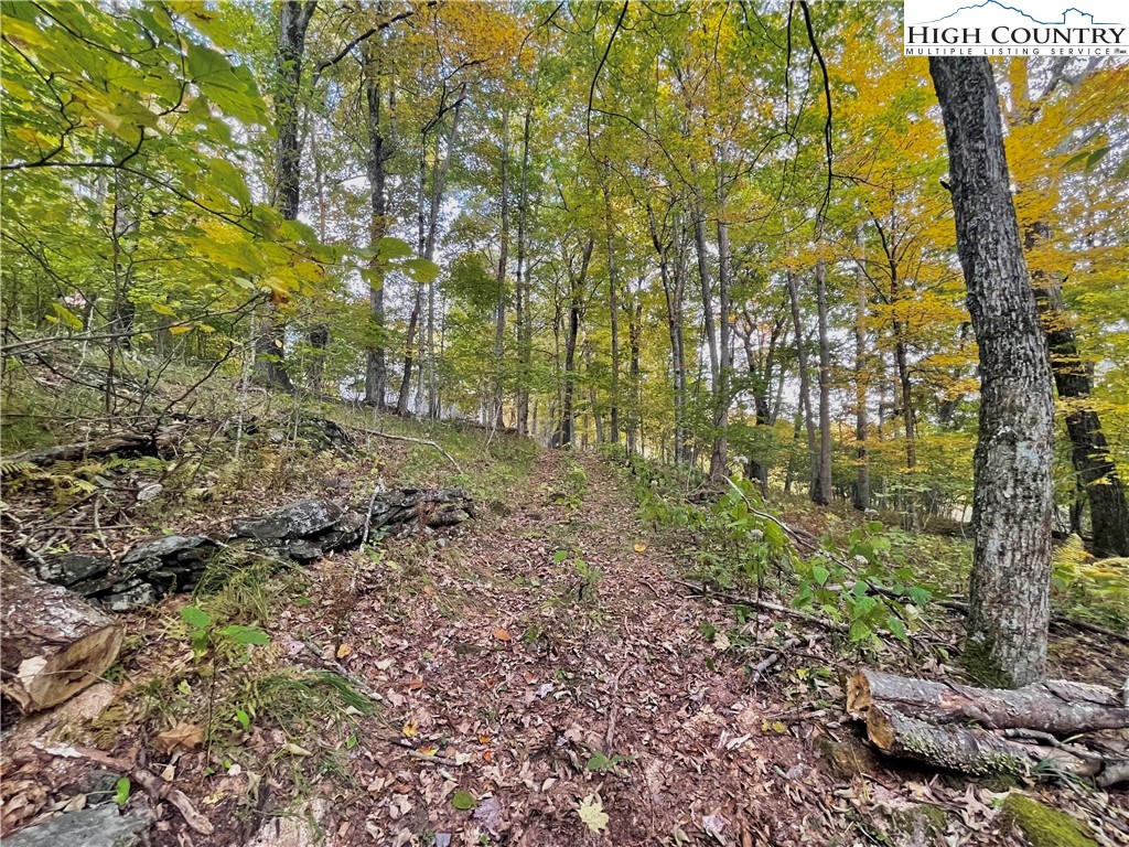 175 Woods Road Boone, NC 28607 - Photo 45 of 50