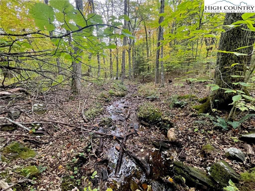 175 Woods Road Boone, NC 28607 - Photo 46 of 50