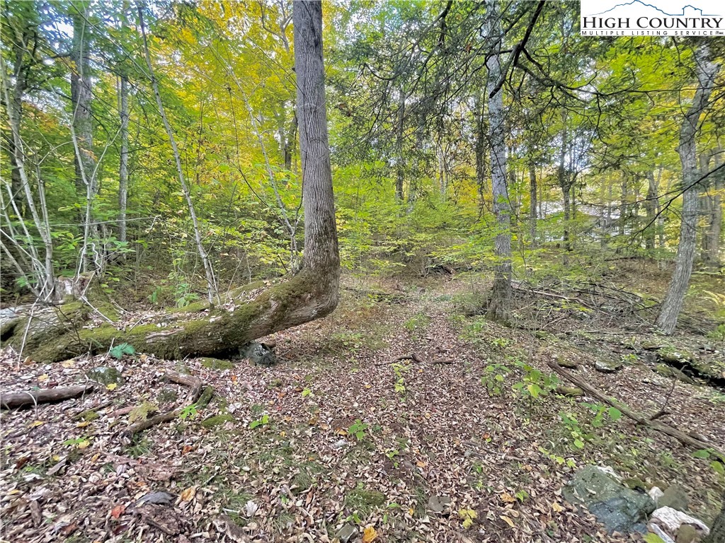 175 Woods Road Boone, NC 28607 - Photo 47 of 50