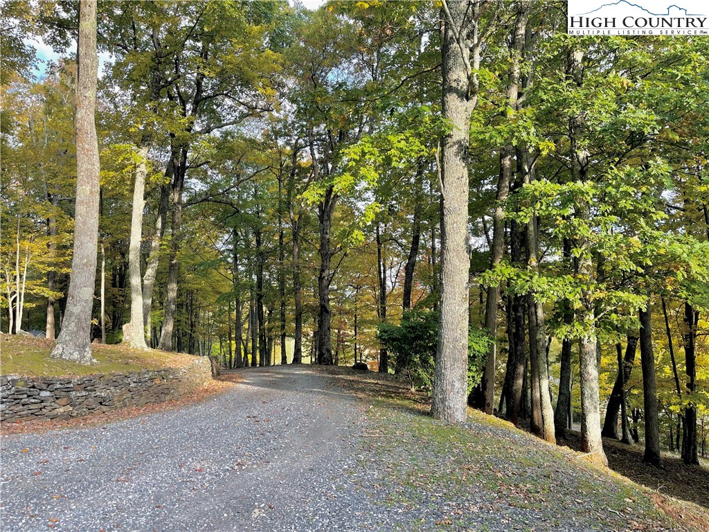 175 Woods Road Boone, NC 28607 - Photo 6 of 50 a view of outdoor space and yard