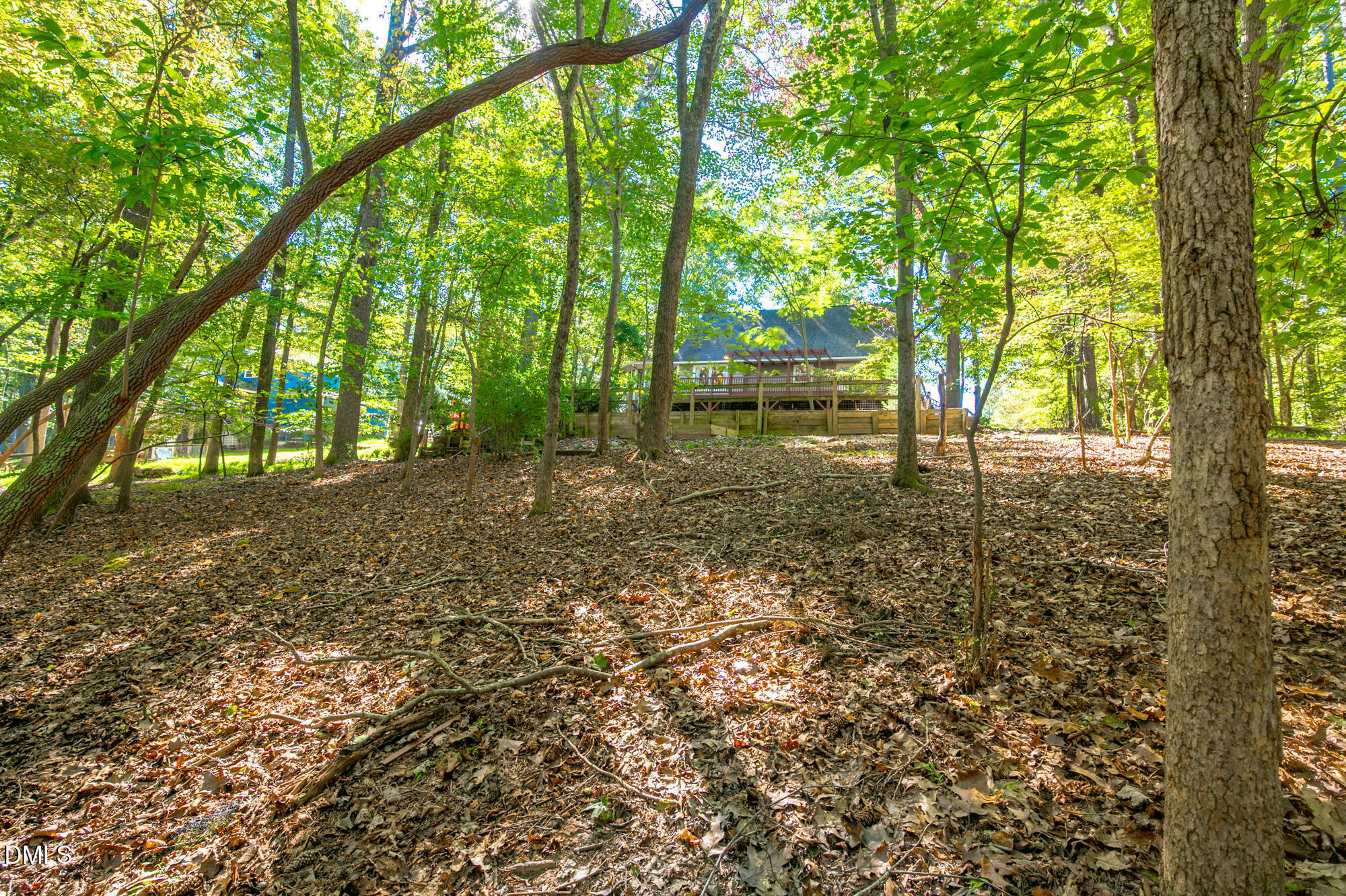 132 Hudson Hills Road Pittsboro, NC 27312 - Photo 42 of 43 a backyard of a house with lots of green space