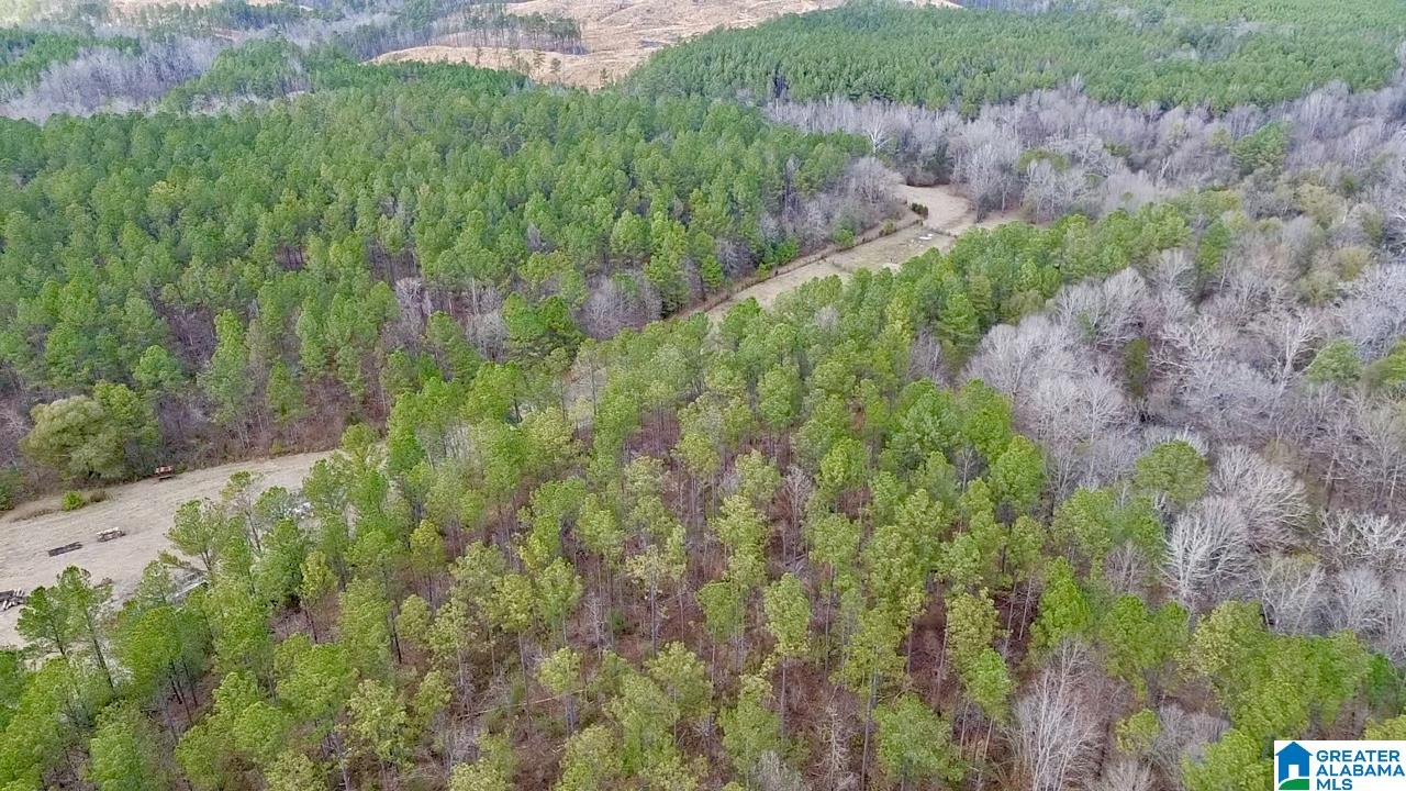 576 Gunlock Street Montevallo, AL 35115 - Photo 60 of 76