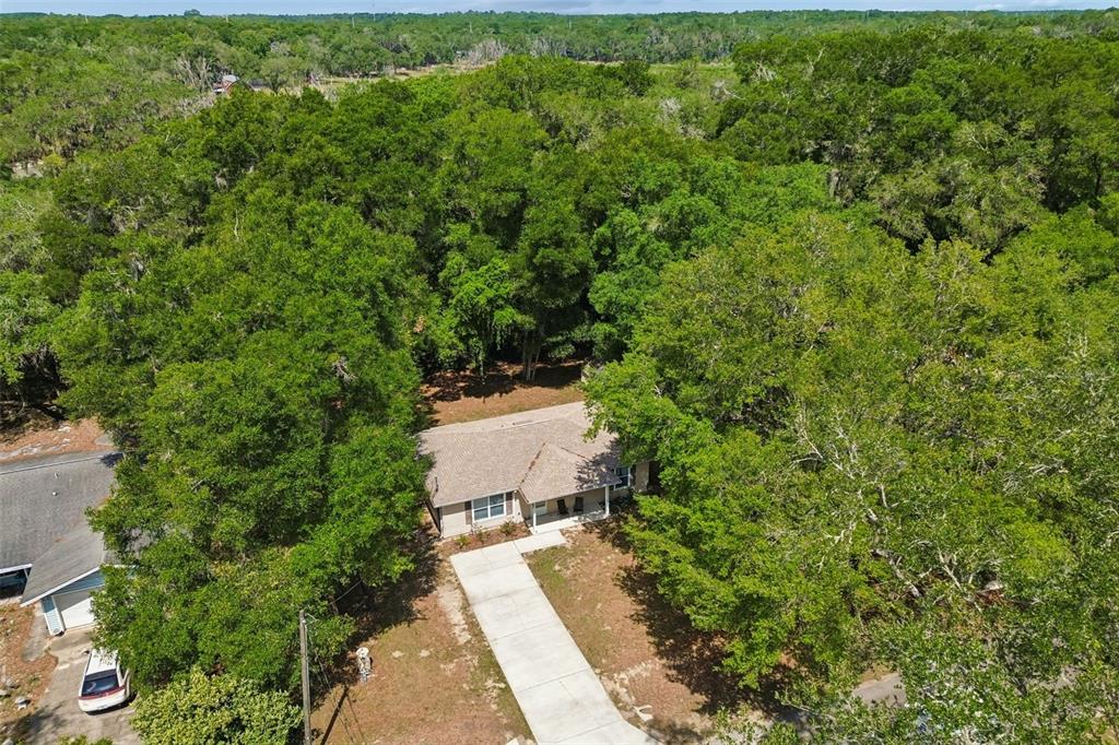 468 North Wheeler Avenue Inverness, FL 34453 - Photo 24 of 24 a view of a yard