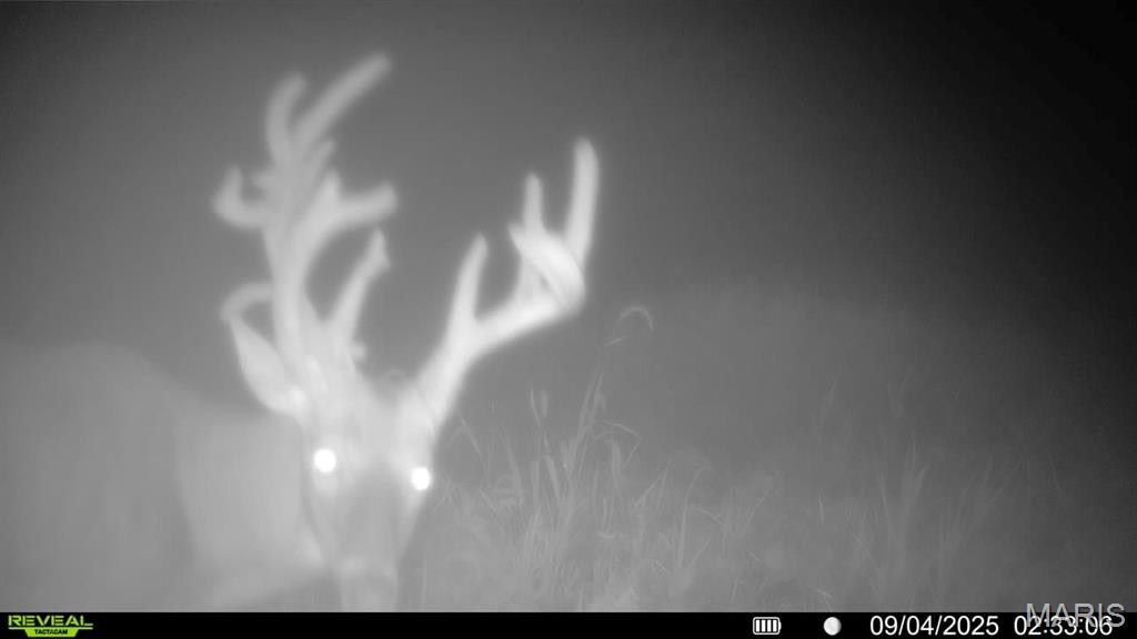 0 Fortune Road Burlington Junction, MO 64428 - Photo 2 of 40