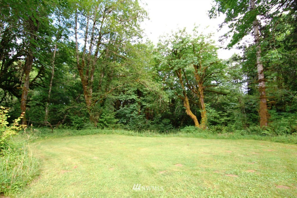 969 West Deckerville Road Elma, WA 98541 - Photo 5 of 15 Gallery Image 5