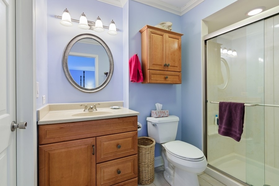 1138 Wheaton Oaks Drive Wheaton, IL 60187 - Photo 11 of 19