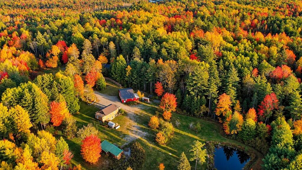 241 Baker Brook Road Bradley, ME 04411 - Photo 48 of 106 Drone Still 5 (241-BBR-Bradley) (Copy)