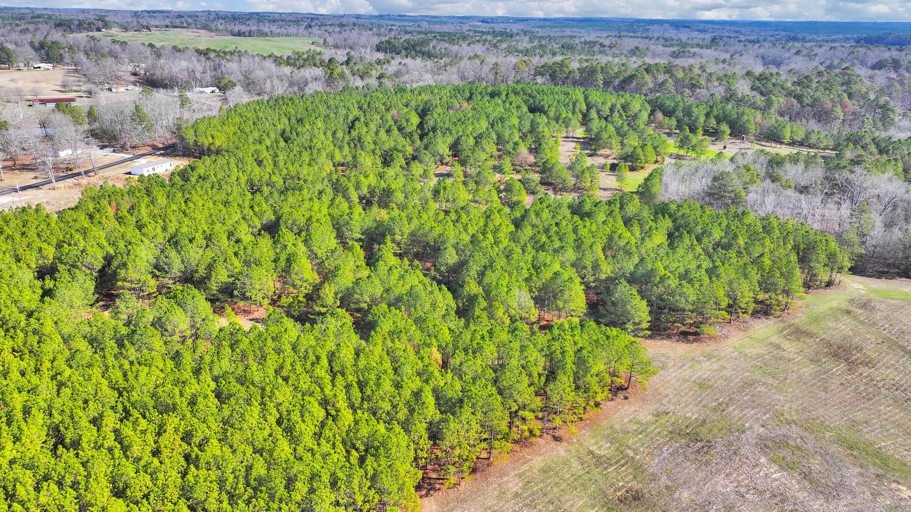 Lot 2 Duncan Road Nauvoo, AL 35578 - Photo 9 of 28 Gallery Image 9