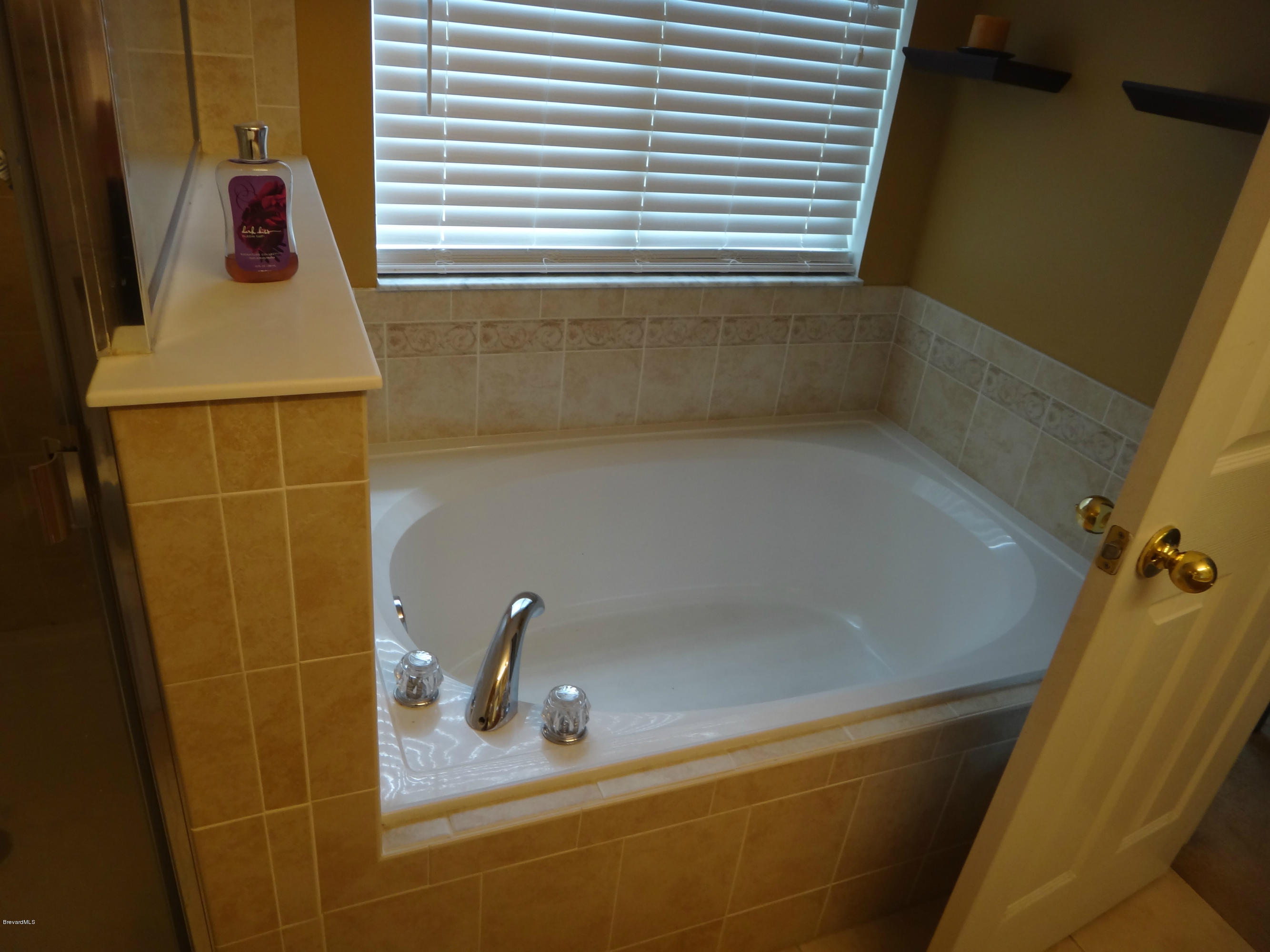 783 Fletcher Road Southeast Palm Bay, FL 32909 - Photo 9 of 17 Master Bath