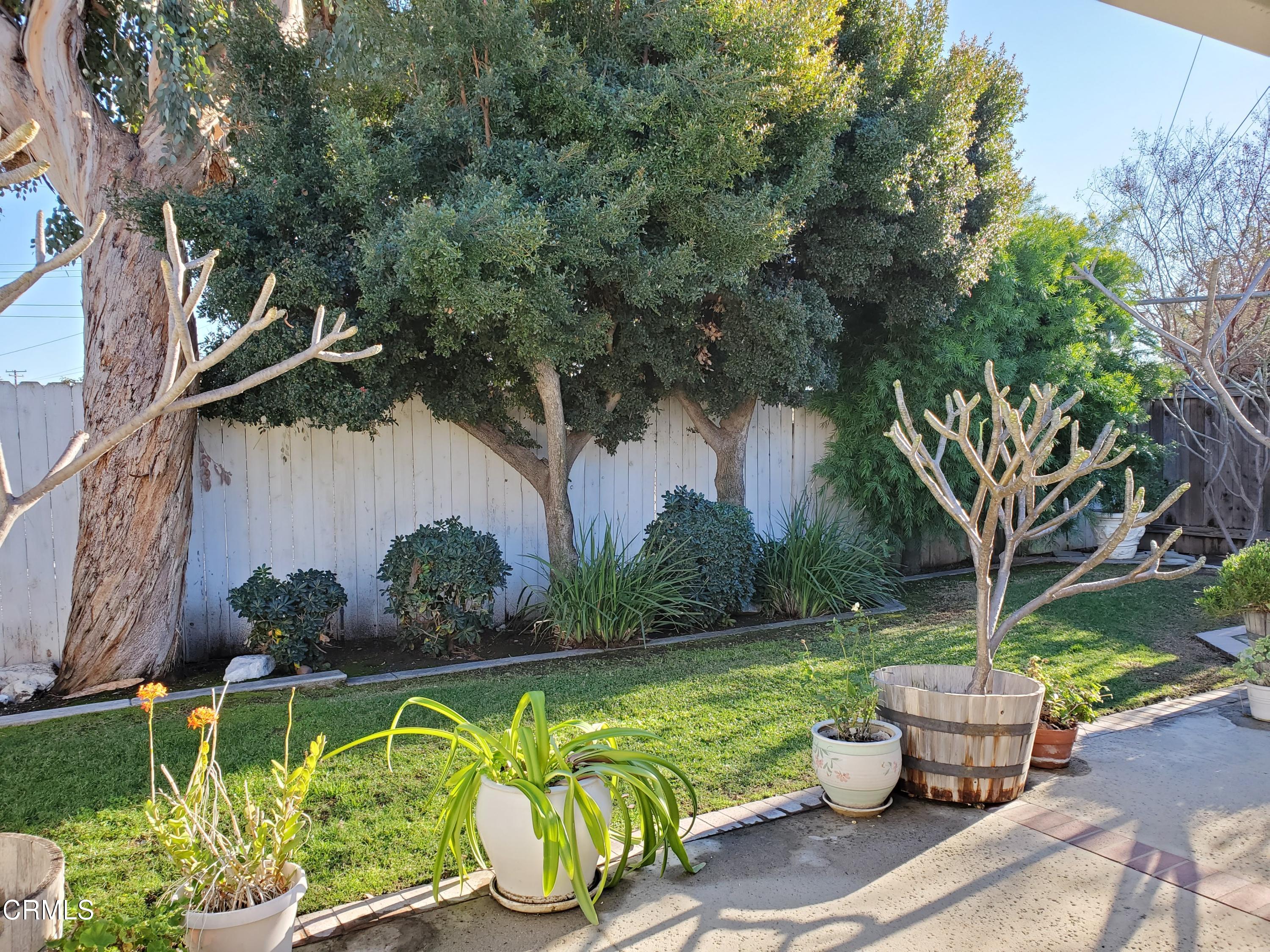 1372 Riverside Drive Fullerton, CA 92831 - Photo 28 of 31 back1
