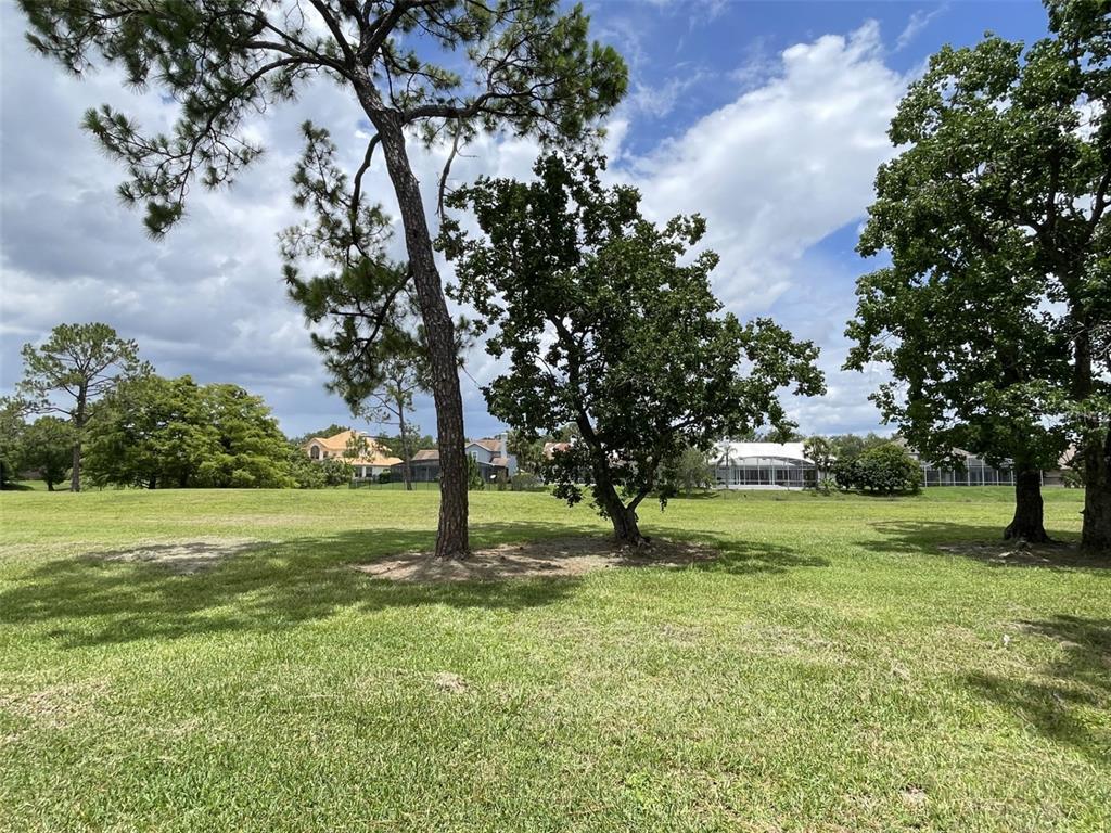 2809 Falling Tree Circle Orlando, FL 32837 - Photo 20 of 22