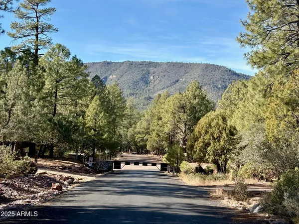 $110,000 | 19 Elk Rub Lane, Unit 19, Pine, AZ 85544