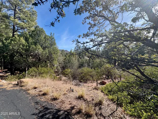 $110,000 | 19 Elk Rub Lane, Unit 19, Pine, AZ 85544