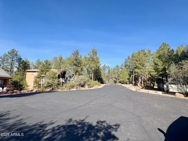$110,000 | 19 Elk Rub Lane, Unit 19, Pine, AZ 85544