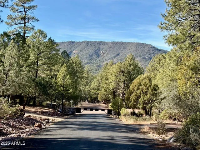 $110,000 | 19 Elk Rub Lane, Unit 19, Pine, AZ 85544