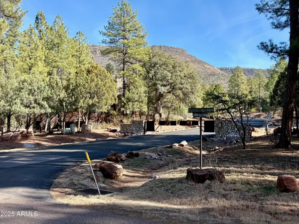 a view of yard with trees
