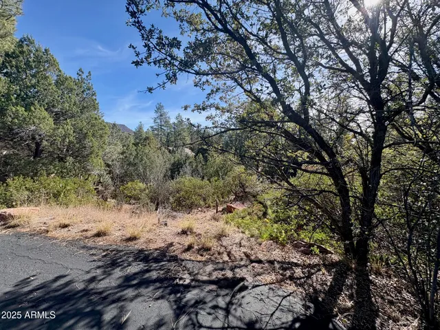 $110,000 | 19 Elk Rub Lane, Unit 19, Pine, AZ 85544