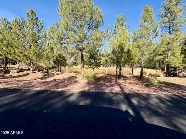 $110,000 | 19 Elk Rub Lane, Unit 19, Pine, AZ 85544