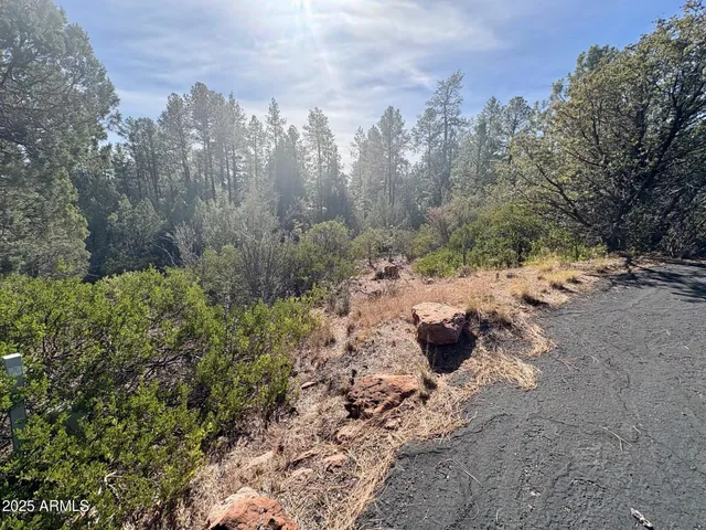 $110,000 | 19 Elk Rub Lane, Unit 19, Pine, AZ 85544