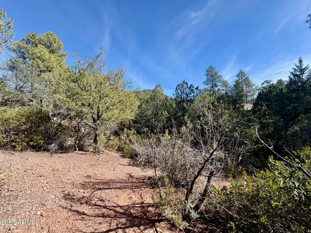 $110,000 | 19 Elk Rub Lane, Unit 19, Pine, AZ 85544