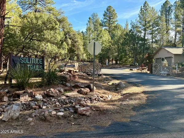$110,000 | 19 Elk Rub Lane, Unit 19, Pine, AZ 85544
