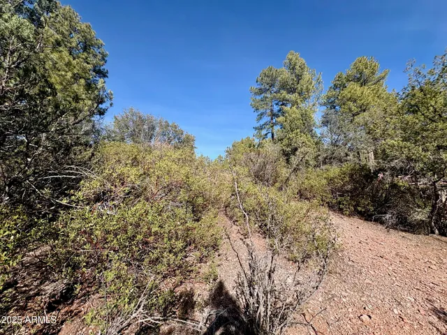 $110,000 | 19 Elk Rub Lane, Unit 19, Pine, AZ 85544