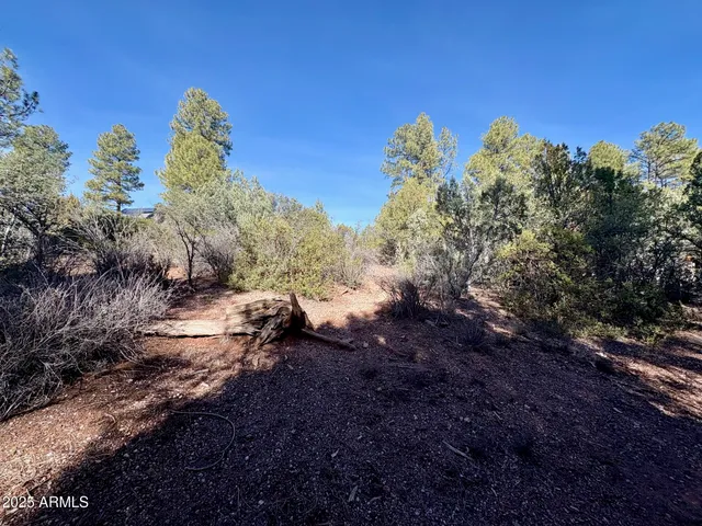 $110,000 | 19 Elk Rub Lane, Unit 19, Pine, AZ 85544