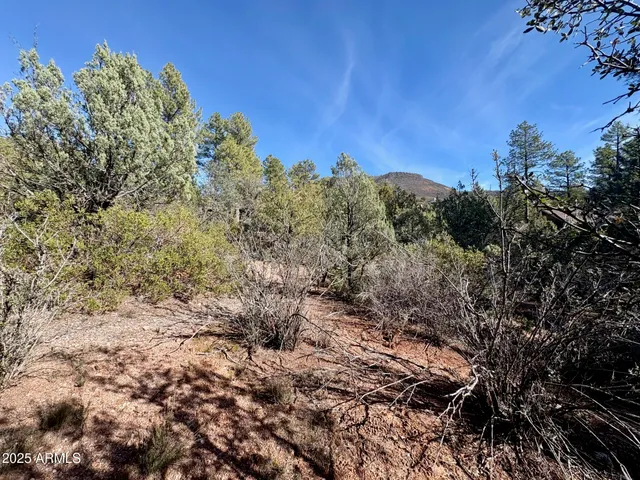 $110,000 | 19 Elk Rub Lane, Unit 19, Pine, AZ 85544