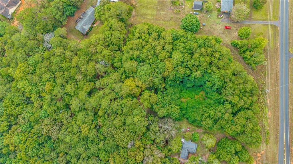 0 Ga-81 Covington, GA 30014 - Photo 13 of 17 a view of a yard with plants and large trees