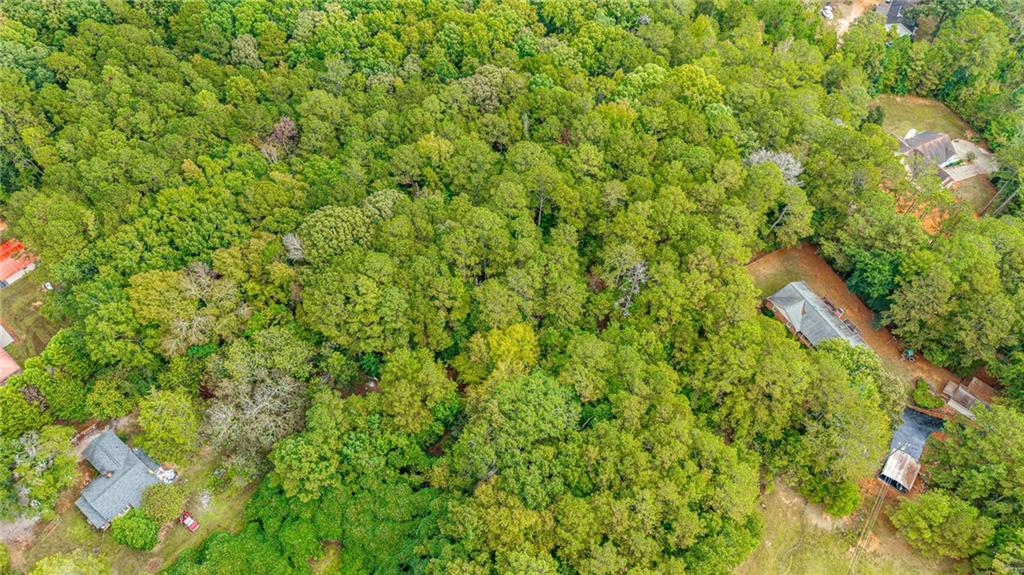 0 Ga-81 Covington, GA 30014 - Photo 14 of 17 a view of a yard with plants and wooden fence