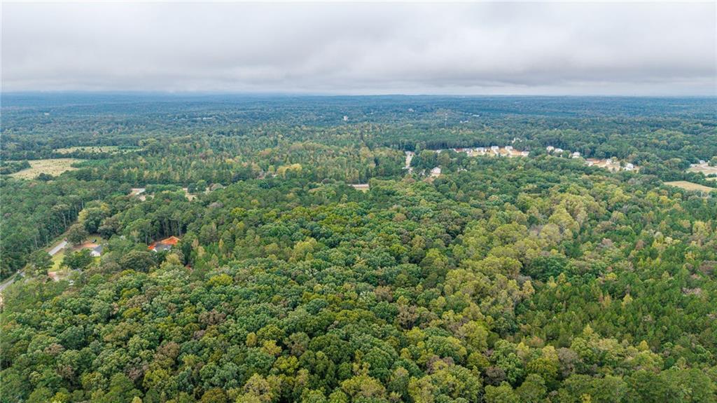 0 Ga-81 Covington, GA 30014 - Photo 6 of 17 an aerial view of residential houses with outdoor space and trees