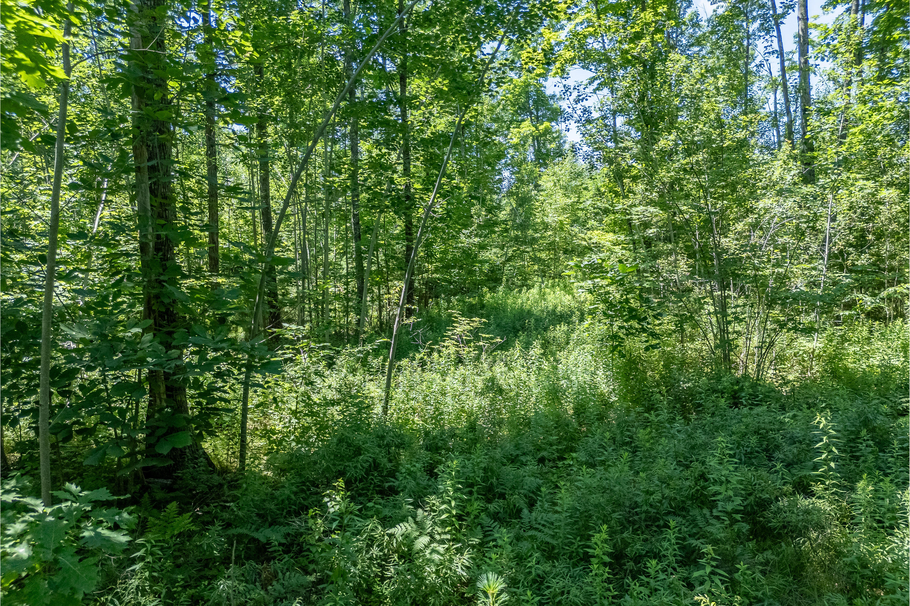 Tbd Buffum Road North Berwick, ME 03906 - Photo 11 of 19 TBD Buffum Rd, North Berwick