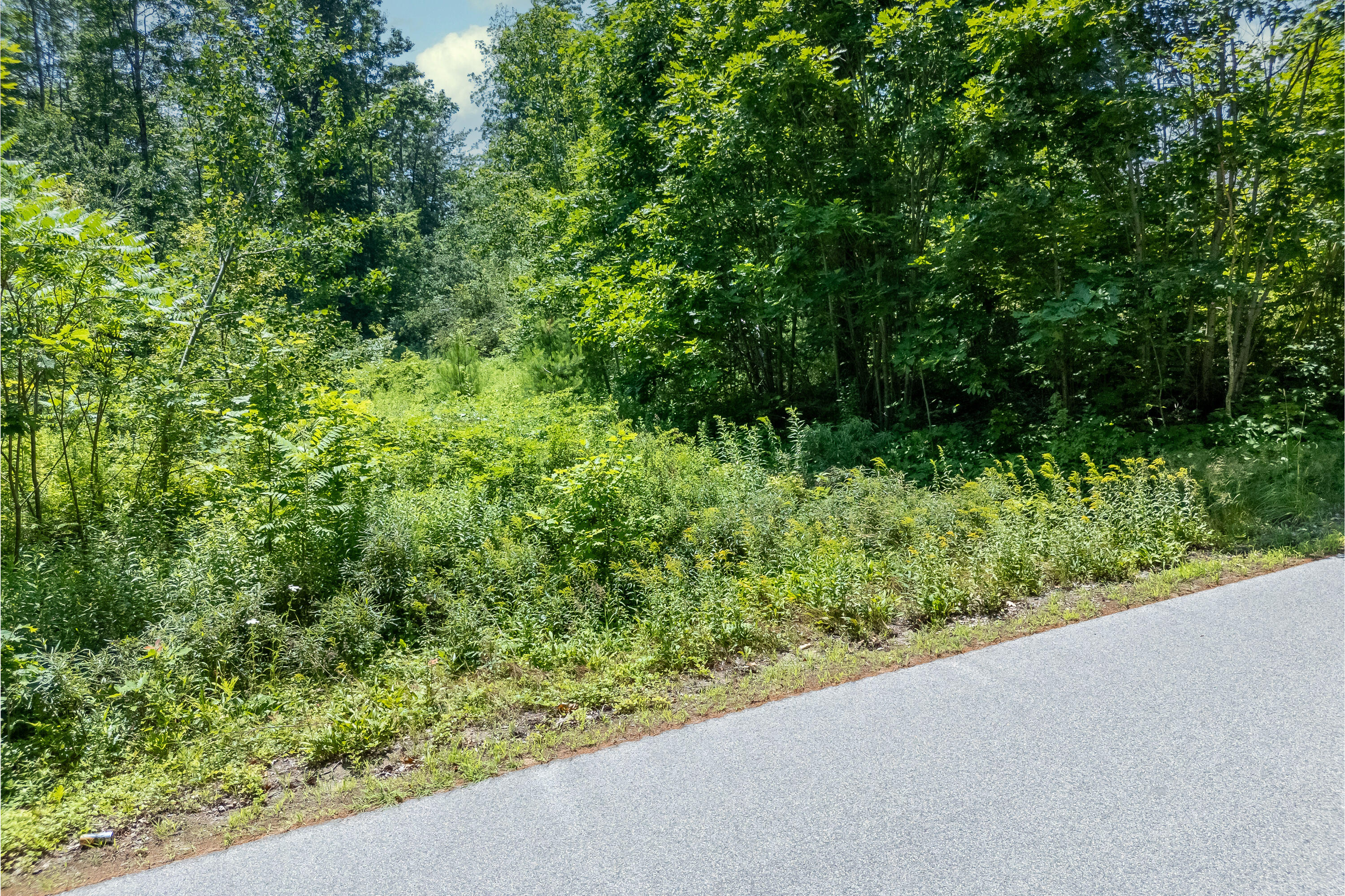 Tbd Buffum Road North Berwick, ME 03906 - Photo 7 of 19 TBD Buffum Rd, North Berwick