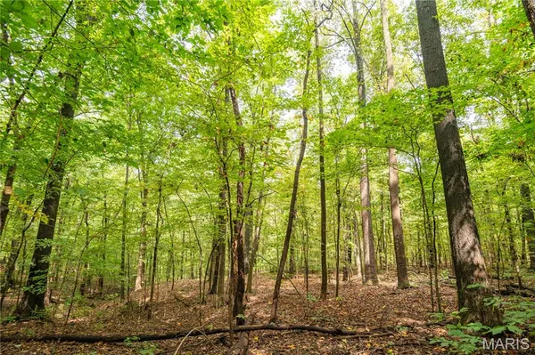 $359,900 | 23847 Friar Tuck Court, Essex, MO 63846