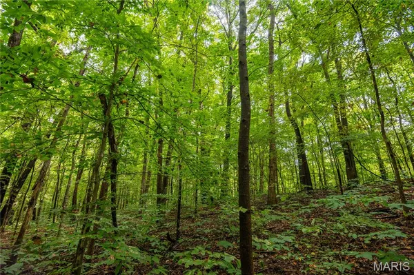 $359,900 | 23847 Friar Tuck Court, Essex, MO 63846