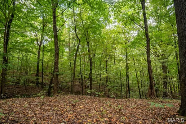 $359,900 | 23847 Friar Tuck Court, Essex, MO 63846