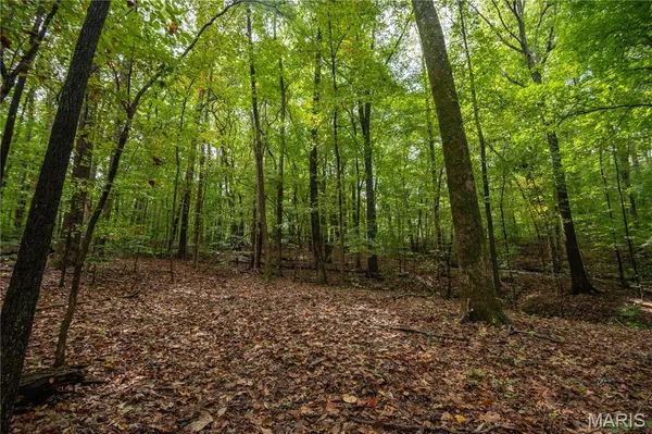 $359,900 | 23847 Friar Tuck Court, Essex, MO 63846